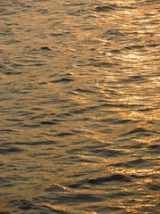 C57F5620-D953-47E7-98B4-4163DB9F557B/L0/001