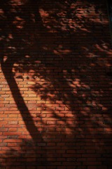 D55E20CD-BD9C-4CA5-9059-E86A36149155/L0/001