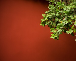 Optional("79761844-9C03-4398-A151-C777D092D30E/L0/001")