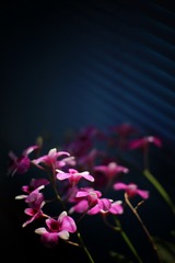 AAB1BF04-CC00-4A5C-840C-9AC77A38F849/L0/001
