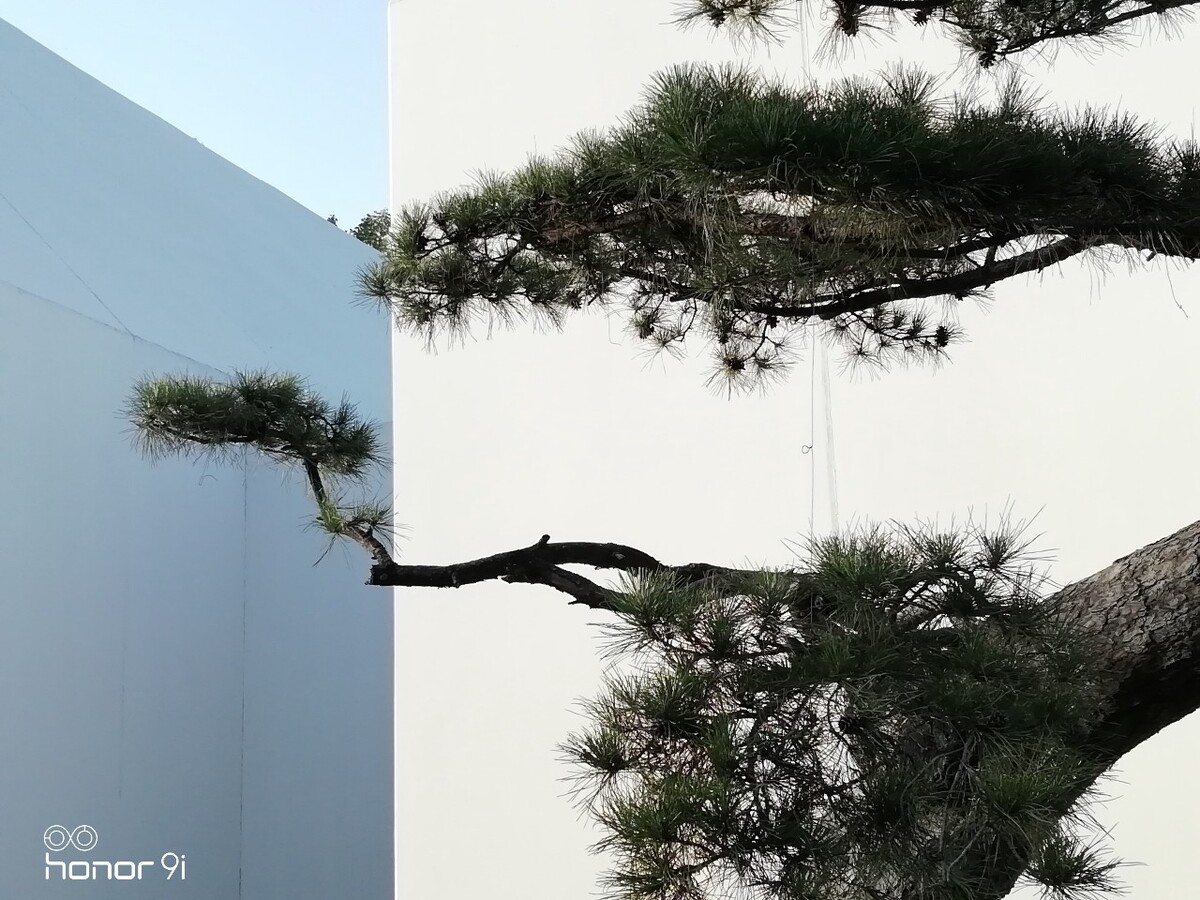 凡艺术家,总有一半是诗人,一半是匠人,用诗人对美的痴迷,搭配匠人对品质的执着,打造出了荣耀9i和同样富含艺术之美的松美术馆(北京顺义)。若你是美而不自知,则让荣耀9i的镜头记录那些由艺术容器带来的震撼美景