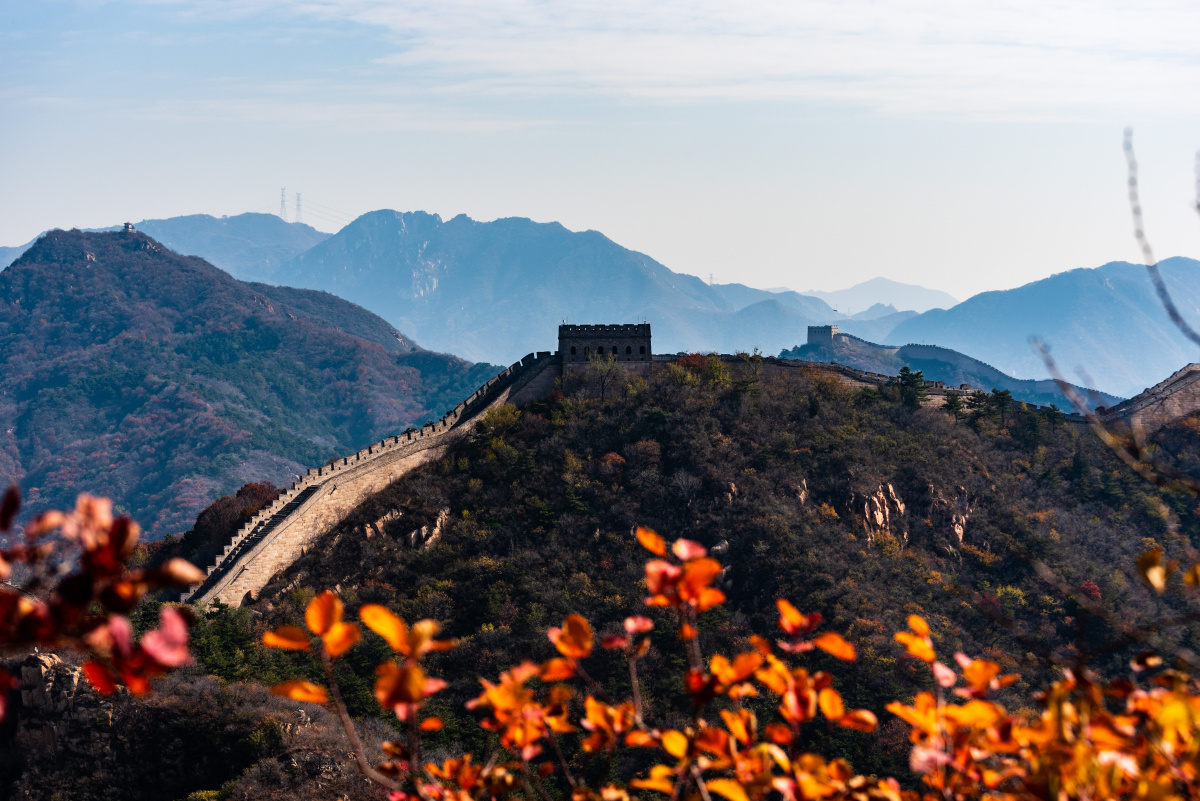 长城红叶