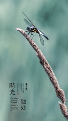 A0B66B34-8F9D-4DD7-913B-F3D23D21E539/L0/001