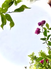 5BC1128F-08D1-4415-80F1-366B869579D7/L0/001