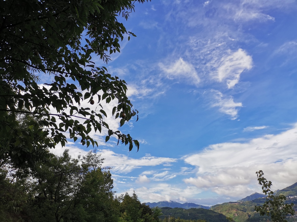 外婆家的风景中午