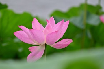1000055543