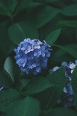 5506C1FC-32A8-4276-82FC-CE3FABE2521F/L0/001