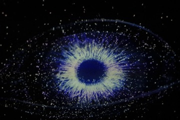 881E169D-66E7-4DCE-9C66-42831D03A297/L0/001