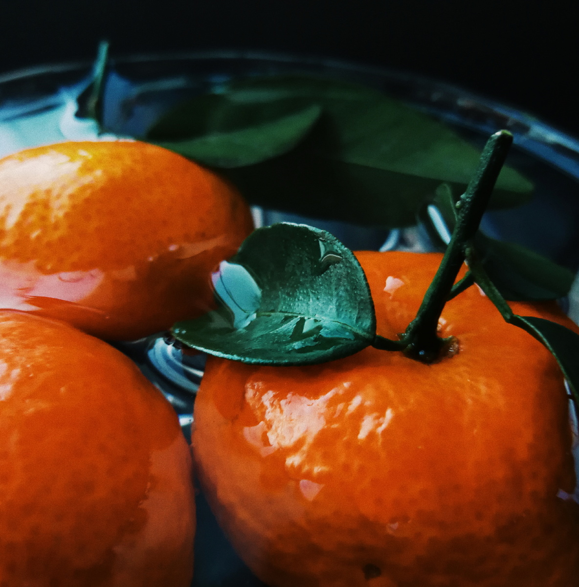 橘子红了: - 未知艺术家