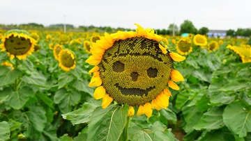 752573