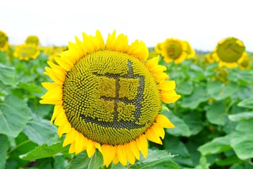 752584