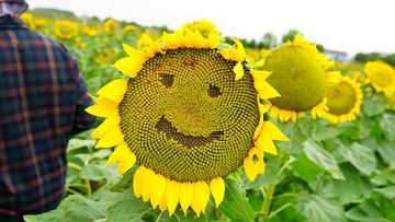 752583