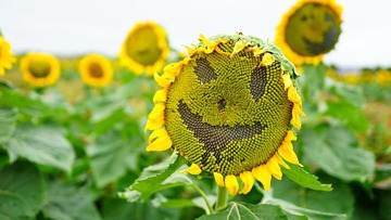 752571