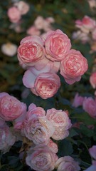 7E6BEE2C-829C-47F3-983F-E128E1F4BD81/L0/001