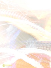 492AD0B7-90B4-40CF-8A1F-CFFADE1BE7C8/L0/001