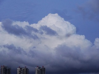 D868E83B-7A3B-438C-84E9-26436B7CE031/L0/001