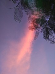 20040