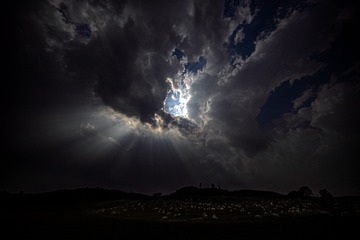 _A0P5635-恢复的