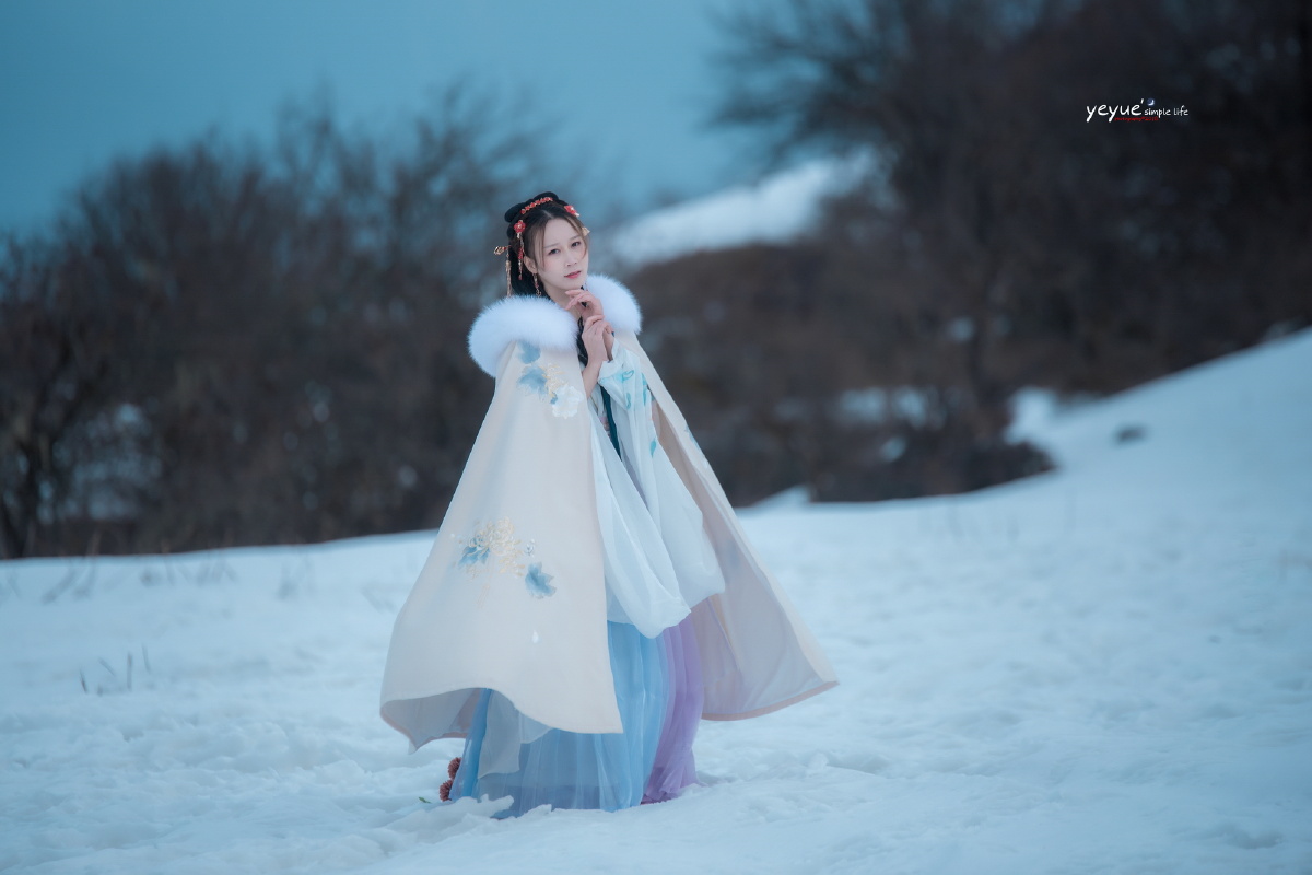 霜雪山林间,观一场冬雪,赏如诗画卷。