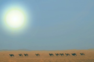 4FE6ADBE-04E1-403C-96FA-C0DE9D93CEE3/L0/001