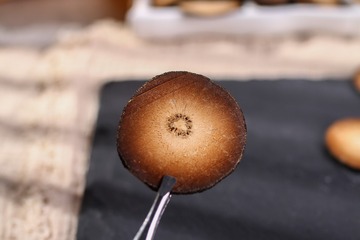 1246671