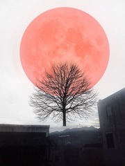 1210907