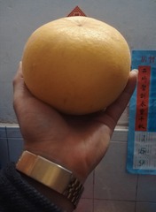 1277616