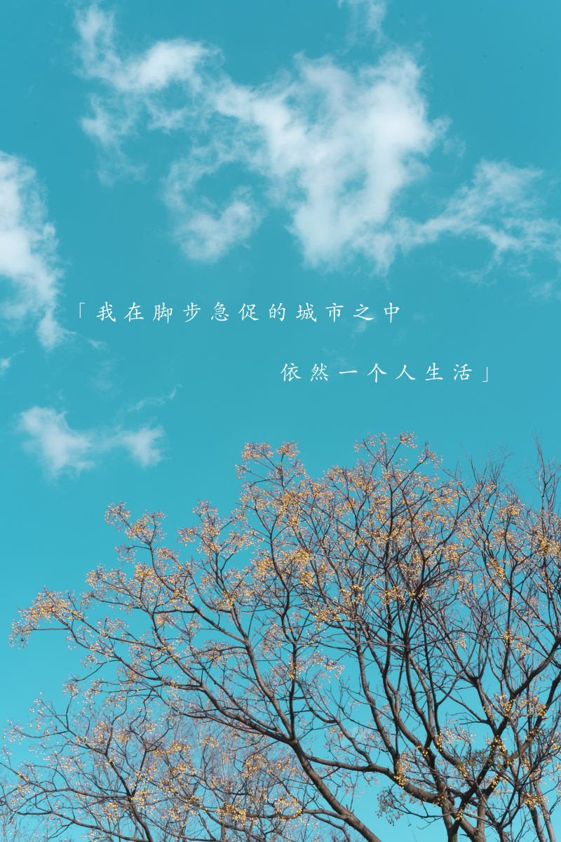 「我也曾经憧憬过 后来没结果」 - 孤城冷月persistent - 图虫