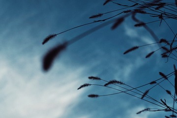 8F04CCA3-4985-4CD9-AF0C-180F0D5727BD/L0/001