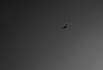 BF5E2072-CA17-4D6F-BBA0-7A6966DCFC01/L0/001