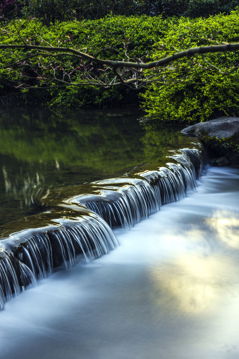 溪水之美拍于杭州长桥溪水修复公园