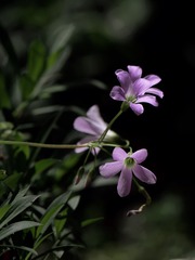11635FBD-D5DD-40FB-A6DC-58E0D9F443B0/L0/001
