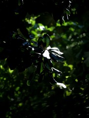 282523EC-E7A6-49B5-9FD6-12D2F9F87CEE/L0/001