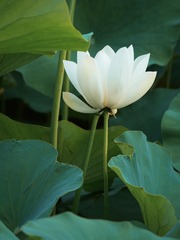 D1400C68-C30A-46D7-AED2-DD5B868772F5/L0/001