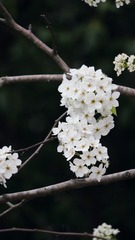 FA268B0E-7682-43B9-93F8-29743F7E48E3/L0/001