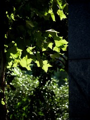 D3736FED-AE2D-475E-B6E0-C5090AF71CF6/L0/001