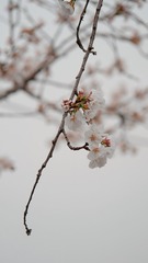 73DF1510-8470-4DC9-957B-DD2B2715AAD3/L0/001