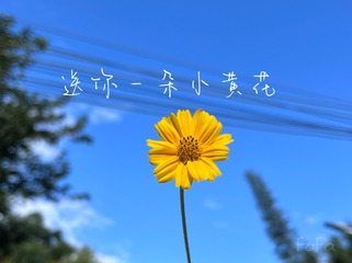 A4683FE2-45D1-432C-9EF3-F49902DF67F9/L0/001
