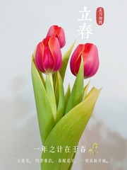 88D11E64-A9B6-47C1-AEF8-F875518BA2CE/L0/001