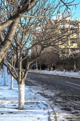 A6AEDB2F-97F7-4640-AA5B-15621D07BF47/L0/001
