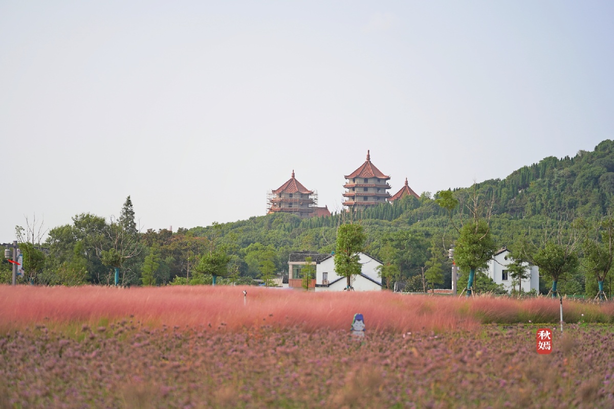 张家港凤凰镇肖家巷