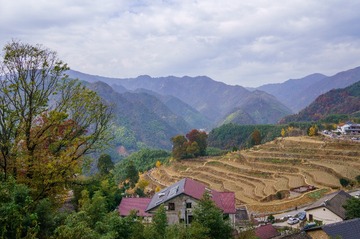 DSC06928