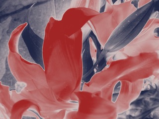 F9E131CE-5A4E-445C-A479-BE632C73E626/L0/001