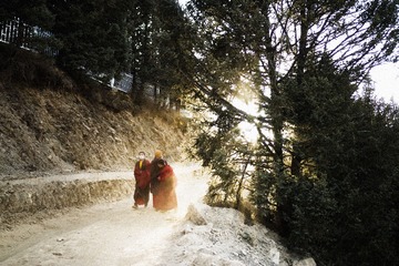 “IMG_0937”为智能对象-1