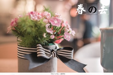 春去4