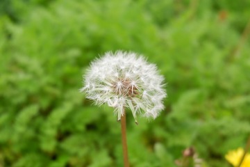 87168