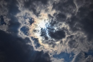 1292731