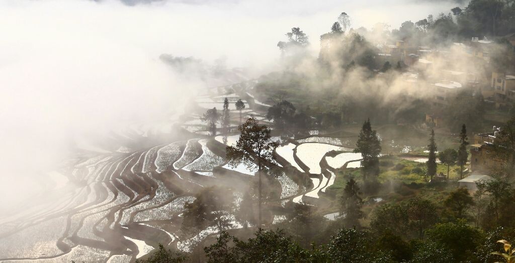 元阳，旅游拍梯田