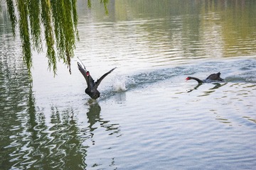 E1B9B884-DDA3-4AD1-AD8C-4BD777ADE0B0/L0/001