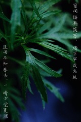 26AE8F49-30B8-45D5-8817-67000CF88929/L0/001